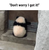 SPY Stock Drops 1.59%: Analyzing the Pre-Earnings Dip